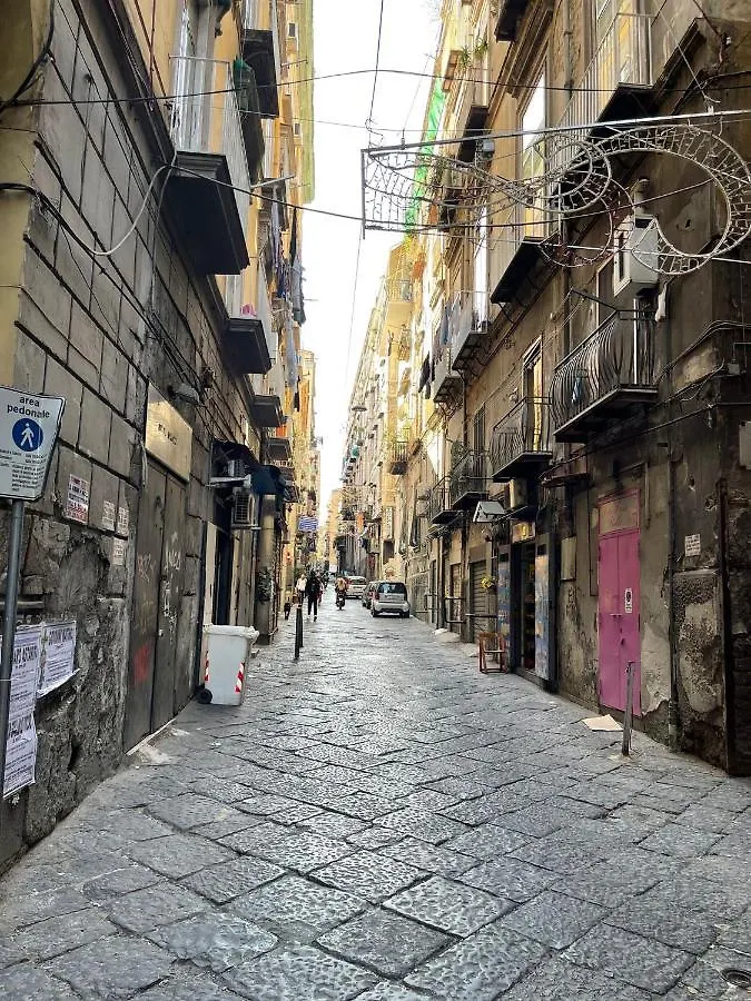 Casa Sofia Apartment Naples 0*,